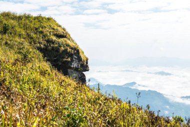 Chiangrai Eyaleti, Tayland 'daki Phu Chi Fa Manzara Noktasında Sis Denizi.