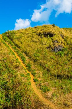 Chiangrai Eyaleti, Tayland Phu Chi Fa Manzara Noktası.