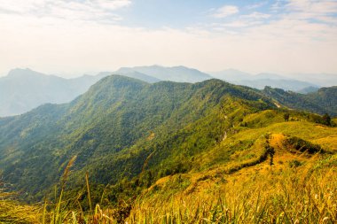 Tayland 'ın Chiangrai eyaletindeki Phu Chi Fa Manzarası' nda Dağ Manzarası.