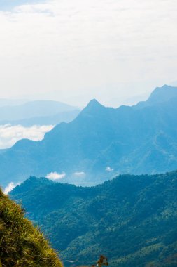 Tayland 'ın Chiangrai eyaletindeki Phu Chi Fa Manzarası' nda Dağ Manzarası.