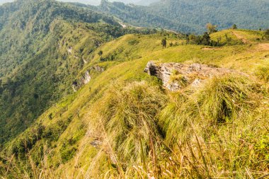 Tayland 'ın Chiangrai eyaletindeki Phu Chi Fa Manzarası' nda Dağ Manzarası.