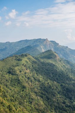 Tayland 'ın Chiangrai eyaletindeki Phu Chi Fa Manzarası' nda Dağ Manzarası.