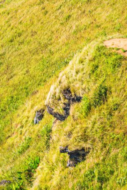 Tayland 'ın Chiangrai eyaletindeki Phu Chi Fa Manzarası' nda Dağ Manzarası.