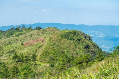 Tayland 'ın Chiangrai eyaletindeki Phu Chi Fa Manzarası' nda Dağ Manzarası.