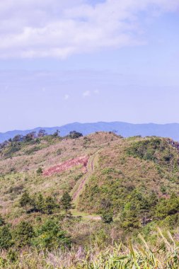 Tayland 'ın Chiangrai eyaletindeki Phu Chi Fa Manzarası' nda Dağ Manzarası.