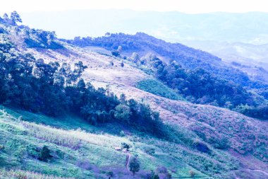 Tayland 'ın Chiangrai Eyaletinde Dağ Manzarası.