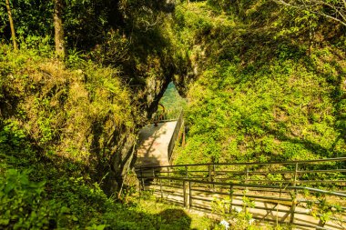 Chiangrai, Tayland 'da Doi Pha Tang' da Manzara Noktası.
