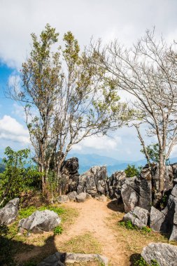 Chiangrai, Tayland 'da Doi Pha Tang' da Manzara Noktası.