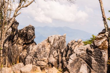Chiangrai, Tayland 'da Doi Pha Tang' da Manzara Noktası.