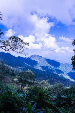 Chiangrai, Tayland 'da Doi Pha Tang' da Manzara Noktası.