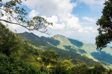 Chiangrai, Tayland 'da Doi Pha Tang' da Manzara Noktası.