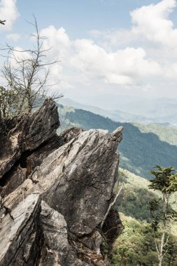 Chiangrai, Tayland 'da Doi Pha Tang' da Manzara Noktası.