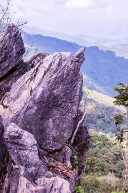 Chiangrai, Tayland 'da Doi Pha Tang' da Manzara Noktası.