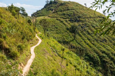 Tayland 'ın Chiangrai eyaletindeki Doi Pha Tang' da Dağ Manzarası.