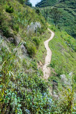 Tayland 'ın Chiangrai eyaletindeki Doi Pha Tang' da Dağ Manzarası.