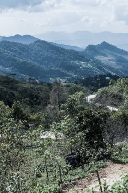 Tayland 'ın Chiangrai eyaletindeki Doi Pha Tang' da Dağ Manzarası.