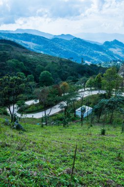 Tayland 'ın Chiangrai eyaletindeki Doi Pha Tang' da Dağ Manzarası.