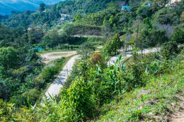 Tayland 'ın Chiangrai eyaletindeki Doi Pha Tang' da Dağ Manzarası.