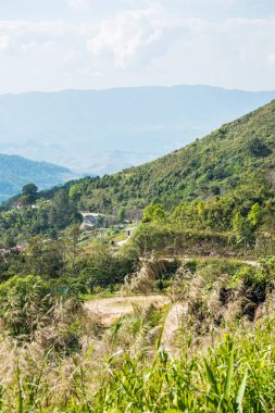 Tayland 'ın Chiangrai eyaletindeki Doi Pha Tang' da Dağ Manzarası.