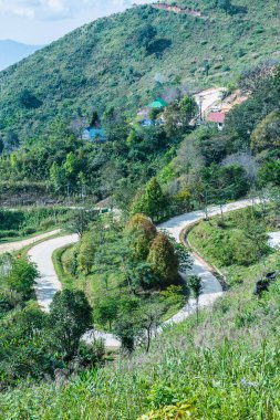 Chiangrai, Tayland 'da Doi Pha Tang yolu..