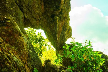 Chiangrai, Tayland 'da Doi Pha Tang' da Manzara Noktası.