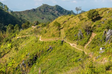 Tayland 'ın Chiangrai eyaletindeki Doi Pha Tang' da Dağ Manzarası.