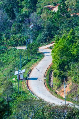 Chiangrai, Tayland 'da Doi Pha Tang yolu..