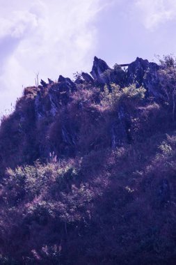 Tayland 'ın Chiangrai eyaletindeki Doi Pha Tang' da Dağ Manzarası.