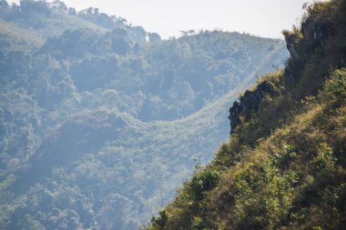 Tayland 'ın Chiangrai eyaletindeki Doi Pha Tang' da Dağ Manzarası.