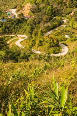 Tayland 'ın Chiangrai eyaletindeki Doi Pha Tang' da Dağ Manzarası.