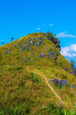 Tayland 'ın Chiangrai eyaletindeki Doi Pha Tang' da Dağ Manzarası.