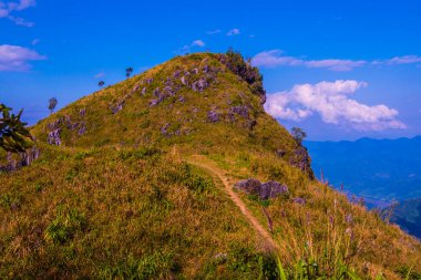Tayland 'ın Chiangrai eyaletindeki Doi Pha Tang' da Dağ Manzarası.