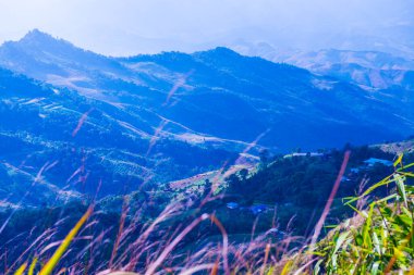 Tayland 'ın Chiangrai eyaletindeki Doi Pha Tang' da Dağ Manzarası.