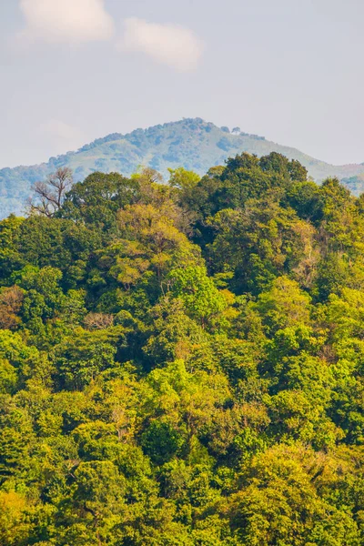 Uitzicht Bergen Bij Phu Chi View Point Provincie Chiangrai Thailand — Stockfoto