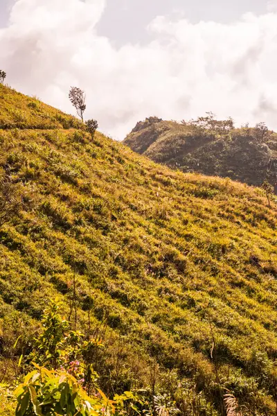 Tayland 'ın Chiangrai eyaletindeki Doi Pha Tang' da Dağ Manzarası.