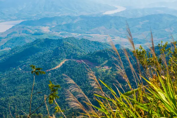 Tayland 'ın Chiangrai eyaletindeki Doi Pha Tang' da Dağ Manzarası.