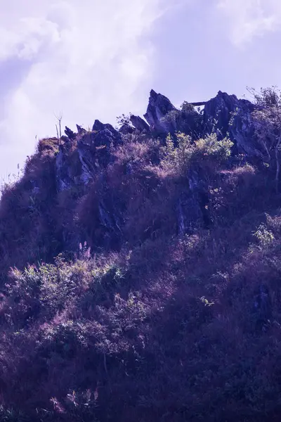 Blick Auf Die Berge Bei Doi Pha Tang Der Provinz — Stockfoto