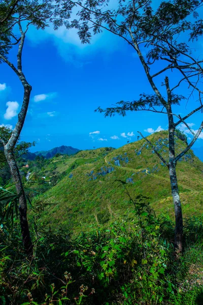 stock image Mountain View at Doi Pha Tang in Chiangrai Province, Thailand.