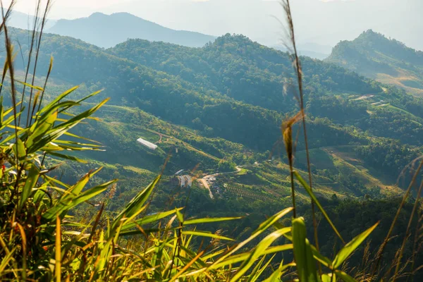 Tayland 'ın Chiangrai eyaletindeki Doi Pha Tang' da Dağ Manzarası.