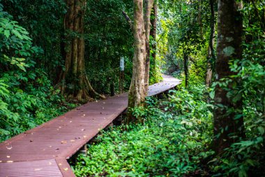 Phu Sang, Tayland 'da doğa yolu..