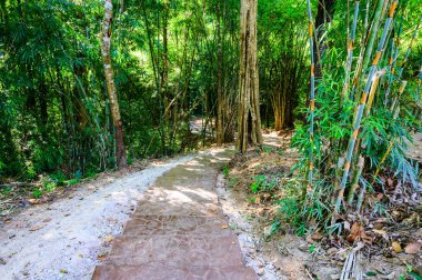 Lampang 'ın Tham Phatai Milli Parkı manzarası.