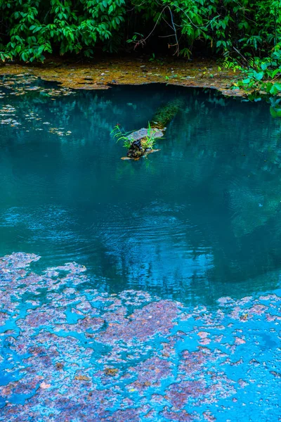 泰国Phu Sang国家公园的温暖池塘 — 图库照片