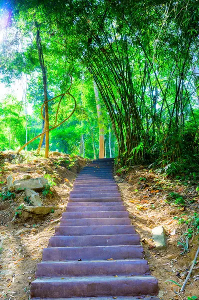 Concrete Stair National Park Lampang Province — стокове фото