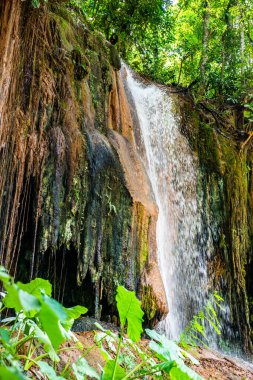 Phu Sang waterfall in Phayao province, Thailand.