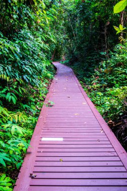 Phu Sang, Tayland 'da doğa yolu..
