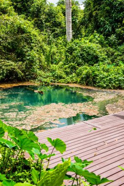 Tayland 'daki Phu Sang Milli Parkı' nda sıcak bir gölet..
