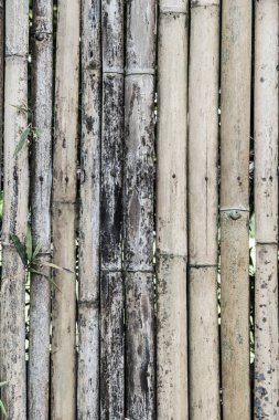 Bambu çit arka planı, Tayland.