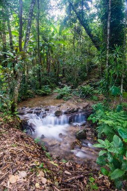 Su, Tayland 'ın Chiang Rai ilindeki Khunkorn şelalesinde akıyor..