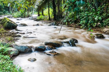 Su, Tayland 'ın Chiang Rai ilindeki Khunkorn şelalesinde akıyor..