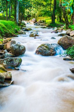 Su, Tayland 'ın Chiang Rai ilindeki Khunkorn şelalesinde akıyor..